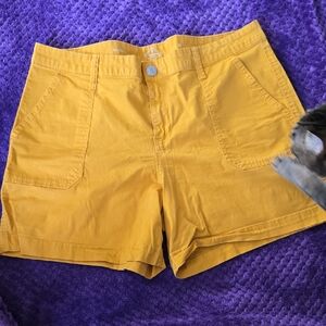 St. John Collection Mustard Yellow Women's Cargo Shorts